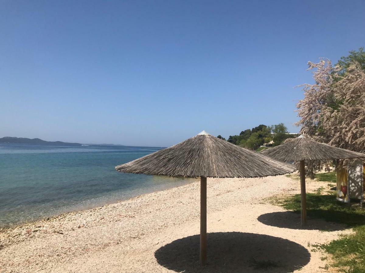 Lidija * Zadar